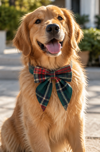 Christmas Green Plaid Butterfly Bow Dog