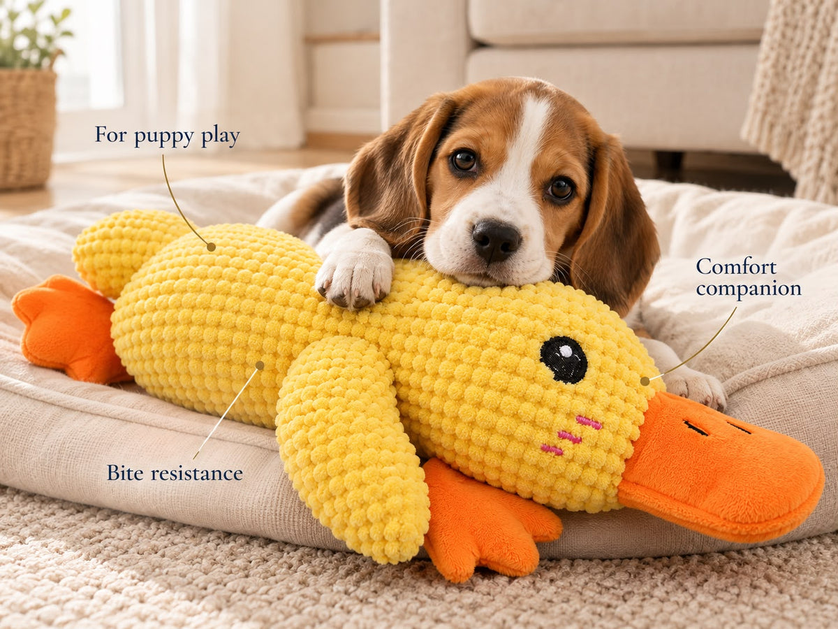 Puppy with calming duck toy